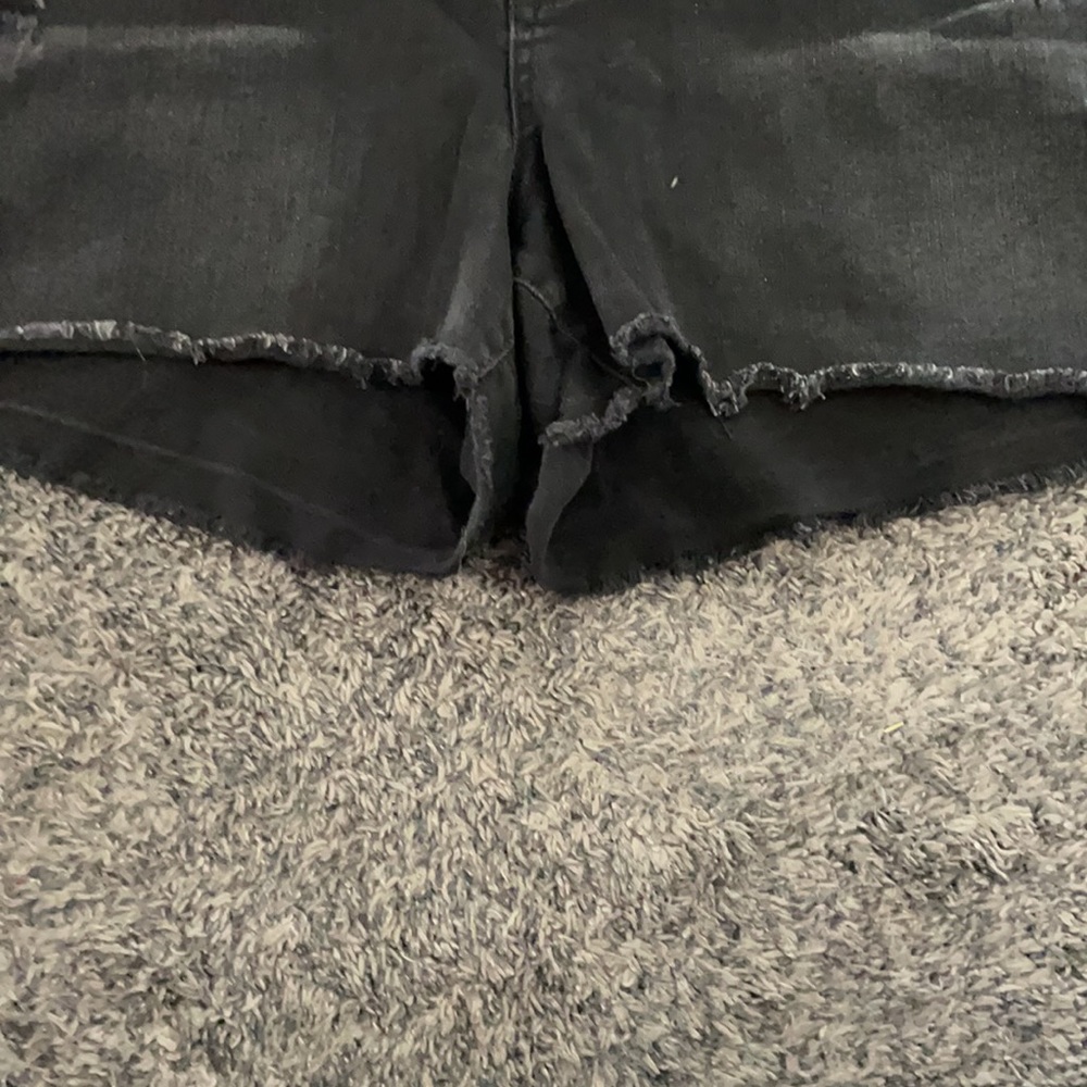 Plus Size Shorts - Picture 4 of 6